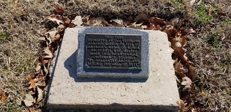 Medal of Honor Tree Marker. Click for full size. Medal of Honor Tree Marker image. Click for full size.