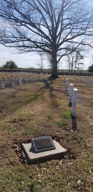 Medal of Honor Tree Marker. Click for full size. Medal of Honor Tree Marker image. Click for full size.