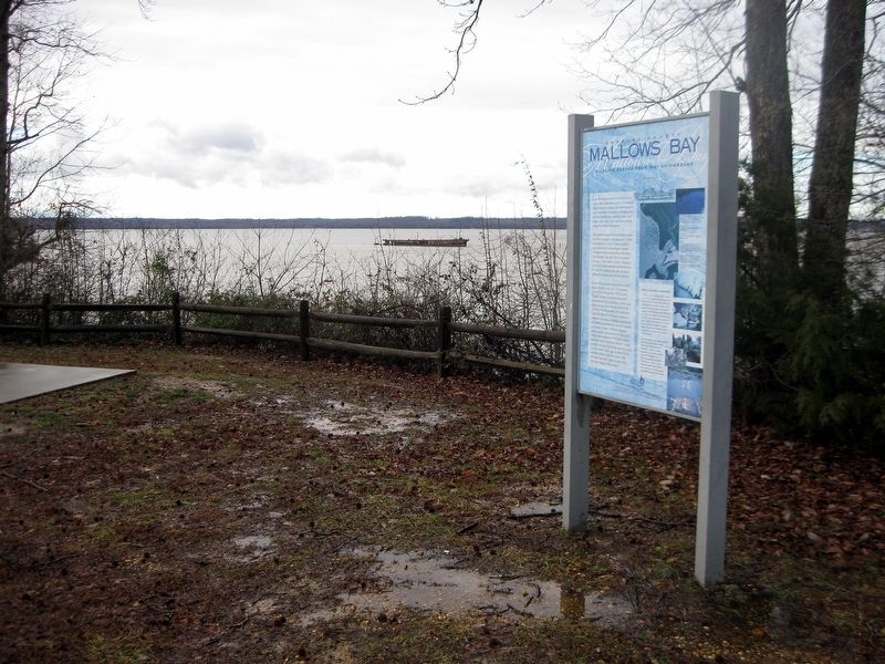 Mallows Bay Marker with shipwreck in distance. image. Click for full size.