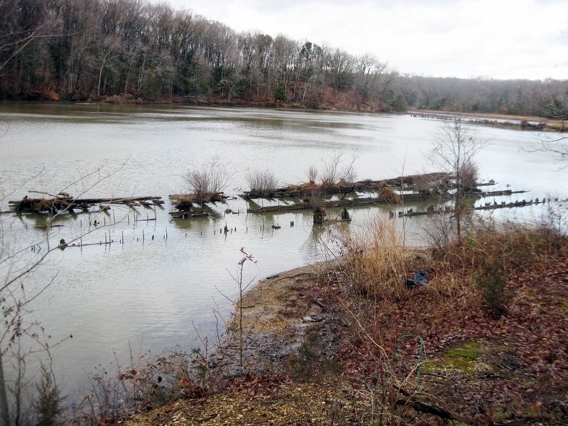 Shipwreck north of boat ramp at Mallows Bay. image. Click for full size.