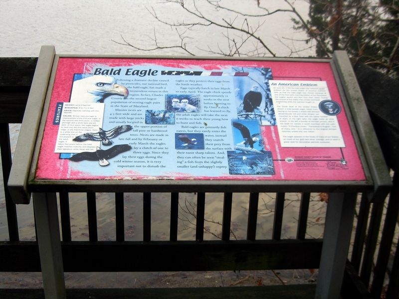 Bald Eagle Marker. Click for full size. Bald Eagle Marker image. Click for full size.