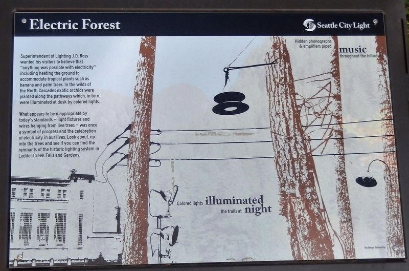 Electric Forest Marker. Click for full size. Electric Forest Marker image. Click for full size.