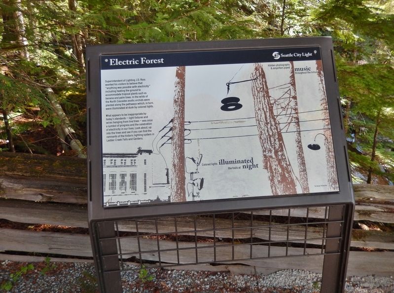 Electric Forest Marker (<i>tall view</i>). Click for full size. Electric Forest Marker (<i>tall view</i>) image. Click for full size.