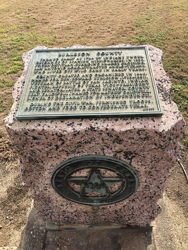 Burleson County Marker image. Click for full size.