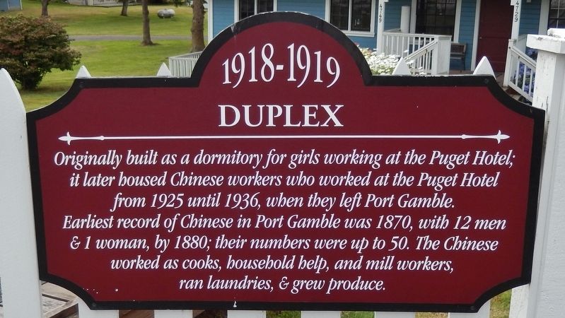 Duplex Marker image. Click for full size.