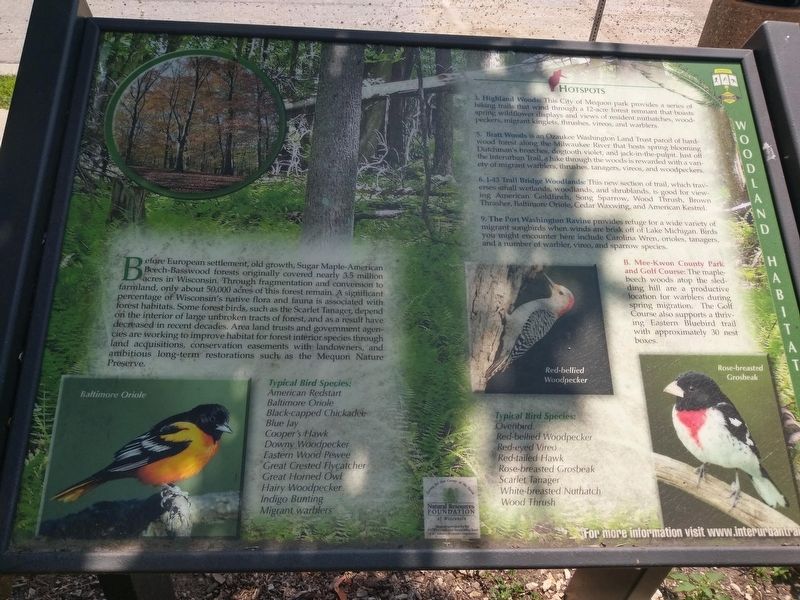 Woodland Habitat Marker image. Click for full size.