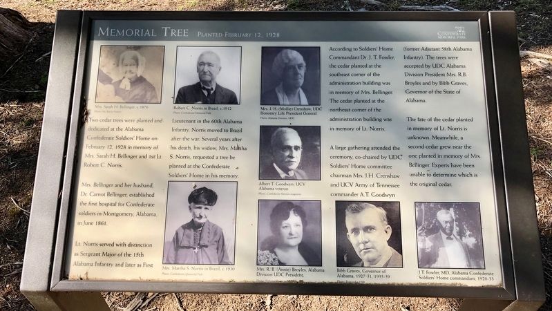 Memorial Tree Marker. Click for full size. Memorial Tree Marker image. Click for full size.