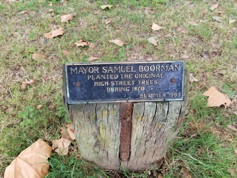 Mayor Samuel Boorman Marker. Click for full size. Mayor Samuel Boorman Marker image. Click for full size.