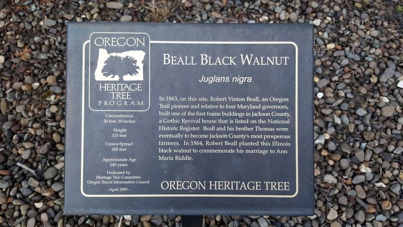 Beall Black Walnut Marker. Click for full size. Beall Black Walnut Marker image. Click for full size.