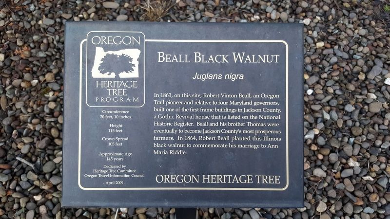 Beall Black Walnut Marker image. Click for full size.