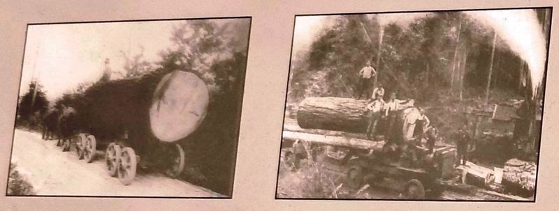 Marker photos: (5) log wagon, and (6) 1915 Nash Quad Four Wheel Drive Truck image. Click for full size.