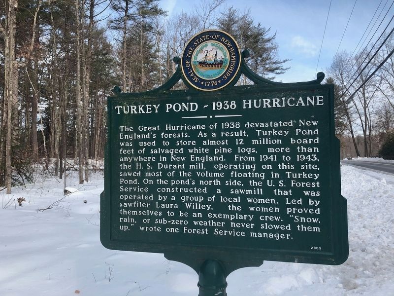 Turkey Pond ~ 1938 Hurricane Marker. Click for full size. Turkey Pond ~ 1938 Hurricane Marker image. Click for full size.