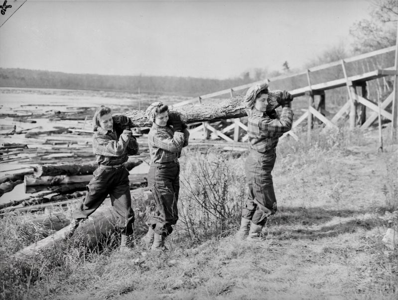 <i>Operation by Women of a New Sawmill at Turkey Pond, New Hampshire</i> image. Click for full size.
