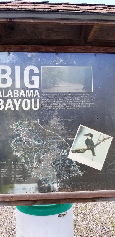 Big Alabama Bayou Marker image. Click for full size.