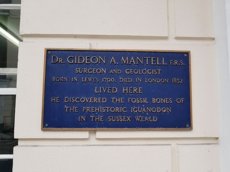 Dr. Gideon A. Mantell Marker. Click for full size. Dr. Gideon A. Mantell Marker image. Click for full size.