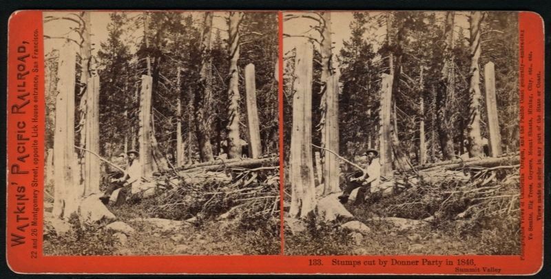 Stumps cut by Donner Party in 1846 image. Click for full size.