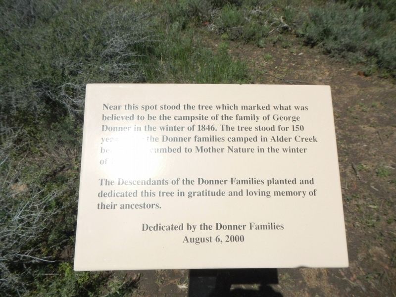 Donner Camp Tree Marker image. Click for full size.