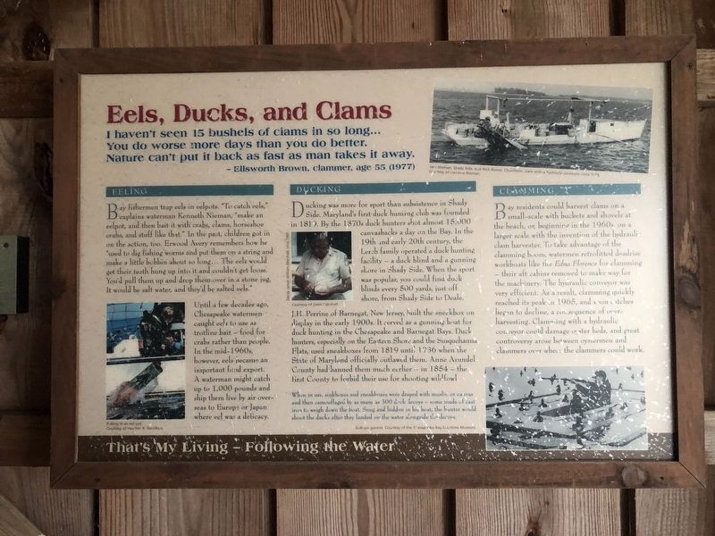 Eels, Ducks, and Clams Marker. Click for full size. Eels, Ducks, and Clams Marker image. Click for full size.
