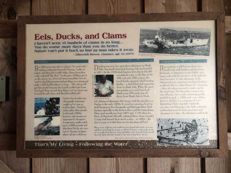 Eels, Ducks, and Clams Marker image. Click for full size.