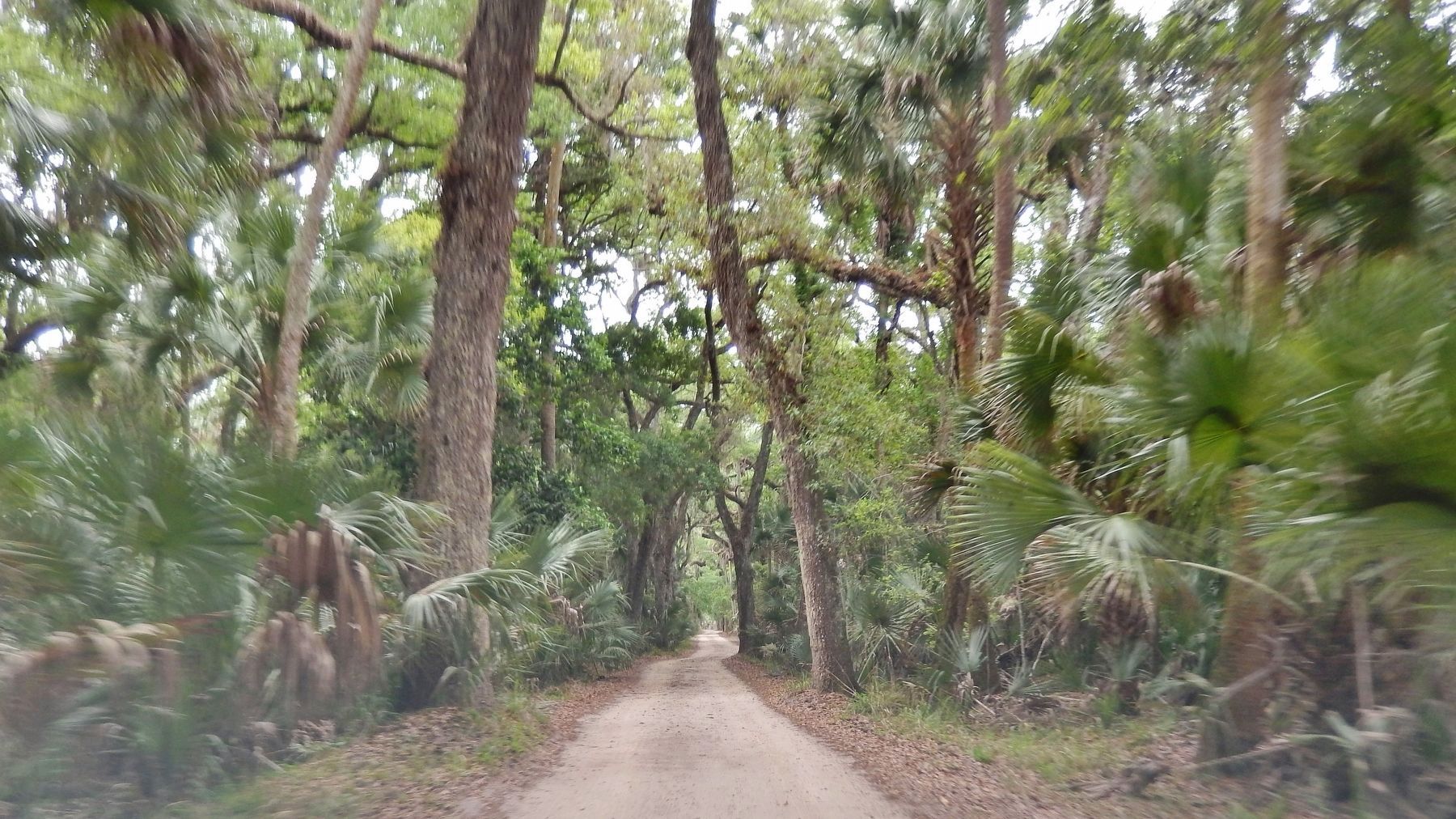 Old Beach Road (<i>view looking east from marker</i>). Click for full size. Old Beach Road (<i>view looking east from marker</i>) image. Click for full size.