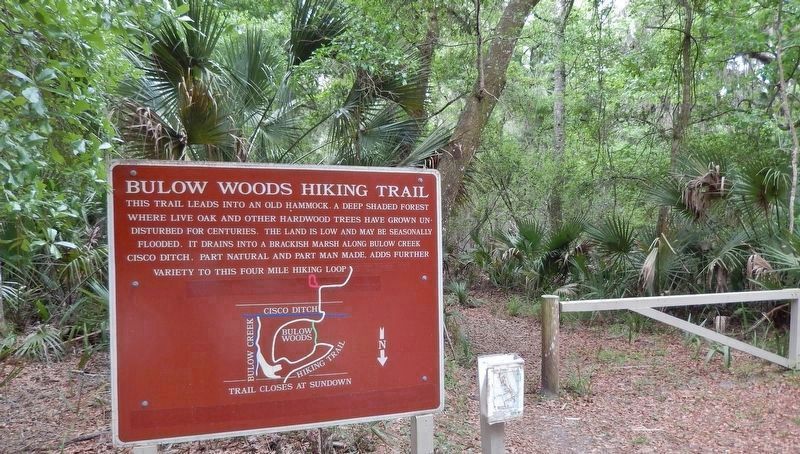 Bulow Woods Hiking Trail (<i>4/10 mile east of marker</i>) image. Click for full size.
