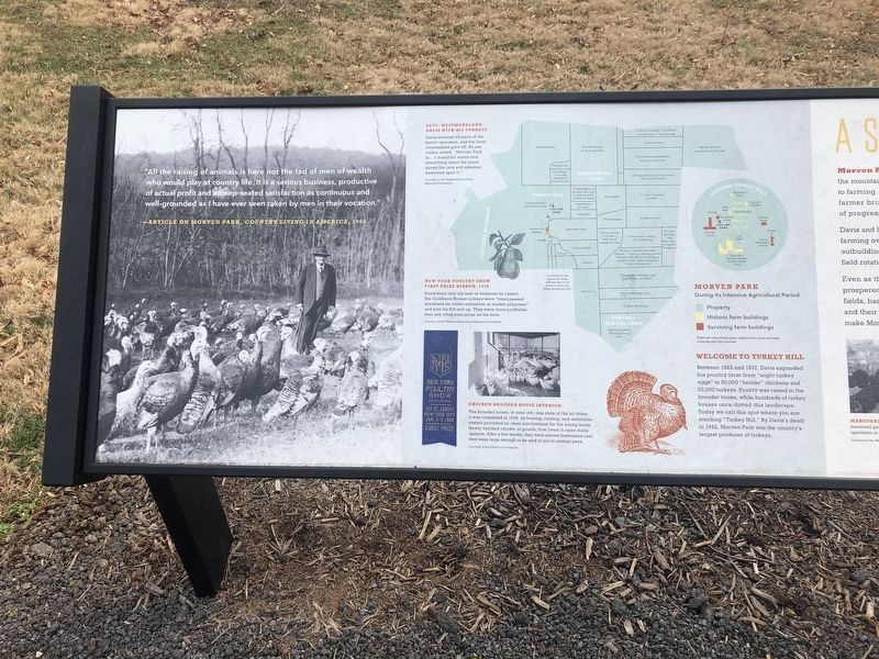 A Serious Business Marker [Left panel] image. Click for full size.