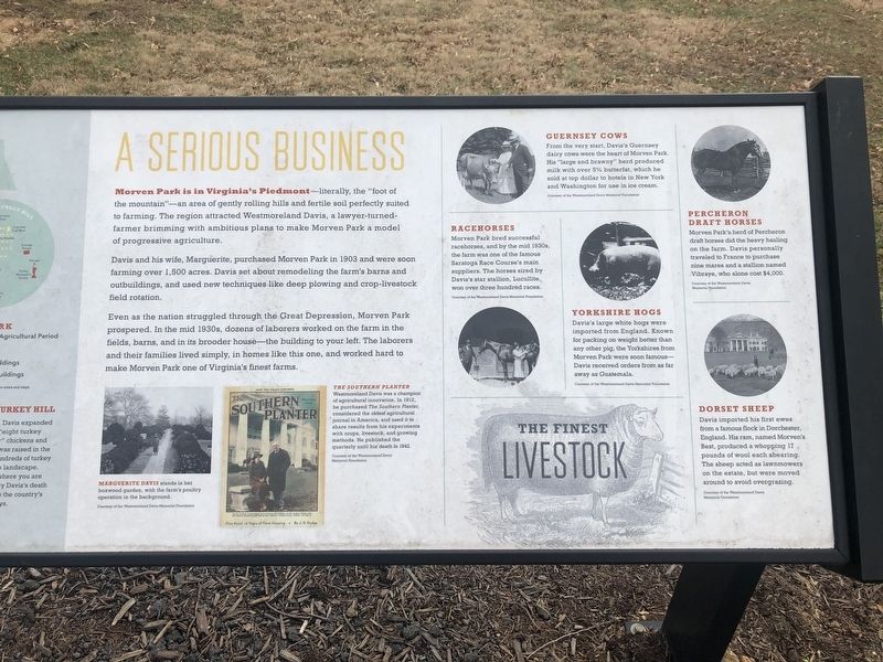 A Serious Business Marker [Right panel] image. Click for full size.