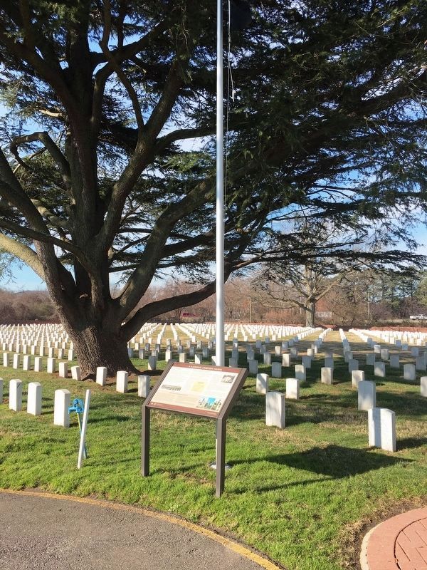 A National Cemetery System Marker from a distance image. Click for full size.