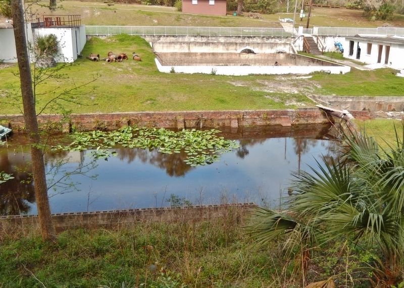 Palatka Waterworks Reservoir Ruins (<i>view from Ravine Gardens trail, near marker</i>) image. Click for full size.