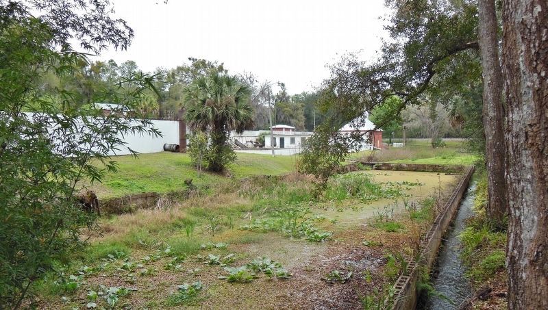 Palatka Waterworks Reservoir Ruins (<i>view from Ravine Gardens trail, near marker</i>) image. Click for full size.