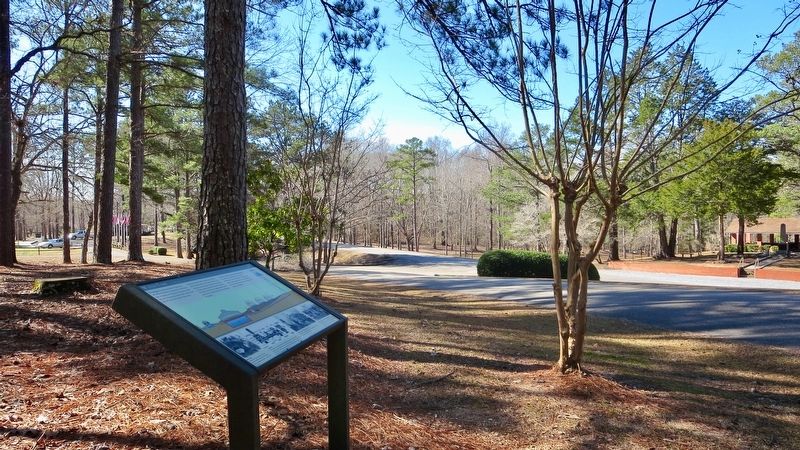 View south on County Road 63. image. Click for full size.