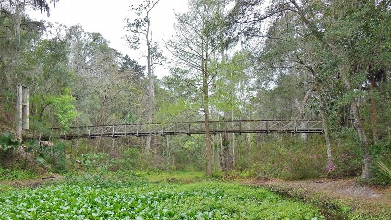 Ravine Gardens Suspension Bridge (<i>wide view; original concrete mast visible on left</i>). Click for full size. Ravine Gardens Suspension Bridge (<i>wide view; original concrete mast visible on left</i>) image. Click for full size.