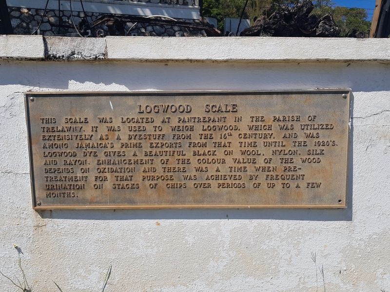 Logwood Scale Marker. Click for full size. Logwood Scale Marker image. Click for full size.