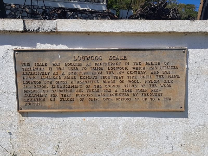 Logwood Scale Marker image. Click for full size.