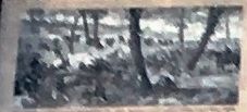 Marker detail: Third Battle of Winchester, September 19, 1864. Click for full size. Marker detail: Third Battle of Winchester, September 19, 1864 image. Click for full size.