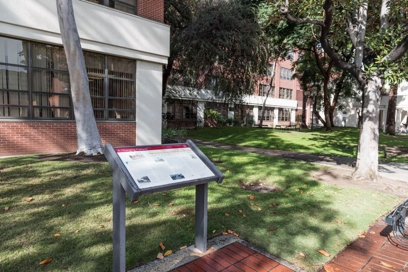 A Changing Campus Interpretive Panel image. Click for full size.