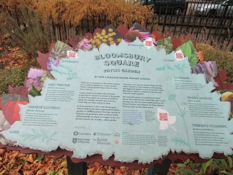 Bloomsbury Square Physic Garden Marker. Click for full size. Bloomsbury Square Physic Garden Marker image. Click for full size.