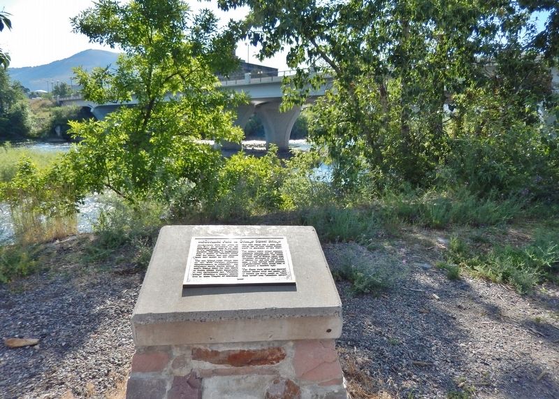 McCormick Park & Orange Street Bridge Marker (<i>wide view; Orange Street Bridge in background</i>) image. Click for full size.