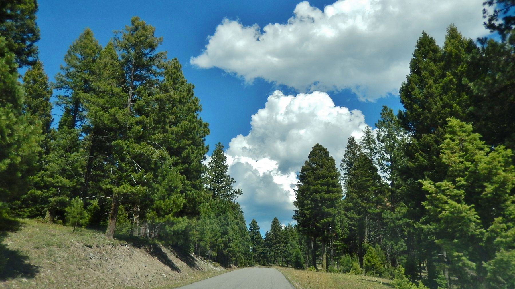 Garnet Range Road / Lubrecht Experimental Forest (<i>view looking west from marker</i>) image. Click for full size.