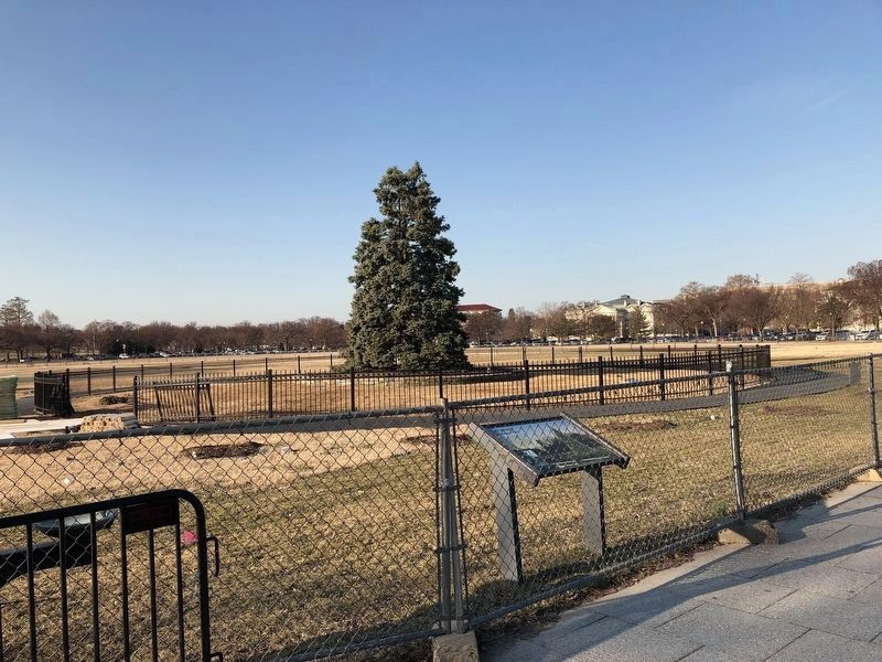The National Christmas Tree with the Marker in front. Click for full size. The National Christmas Tree with the Marker in front image. Click for full size.