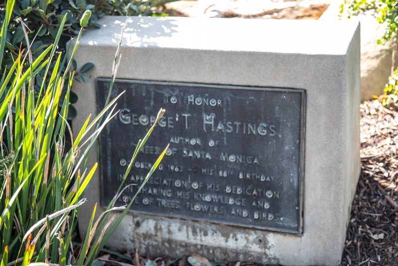 George T. Hastings “Trees of Santa Monica” Tablet image. Click for full size.