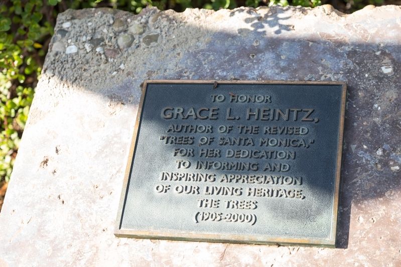 Grace L. Heintz “Trees of Santa Monica” Tablet image. Click for full size.
