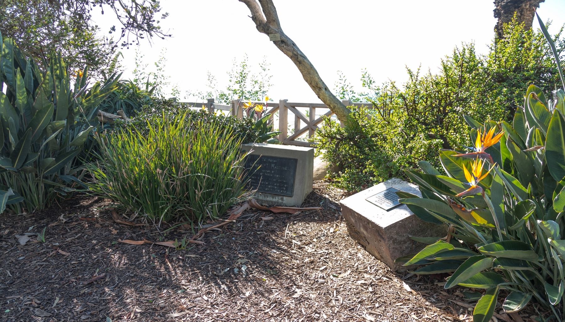 “Trees of Santa Monica” Tablets image. Click for full size.