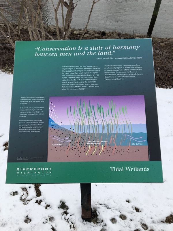 Tidal Wetlands Marker. Click for full size. Tidal Wetlands Marker image. Click for full size.