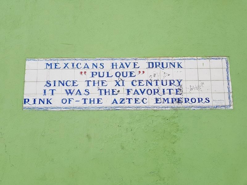 A nearby sign about pulque. Click for full size. A nearby sign about pulque image. Click for full size.