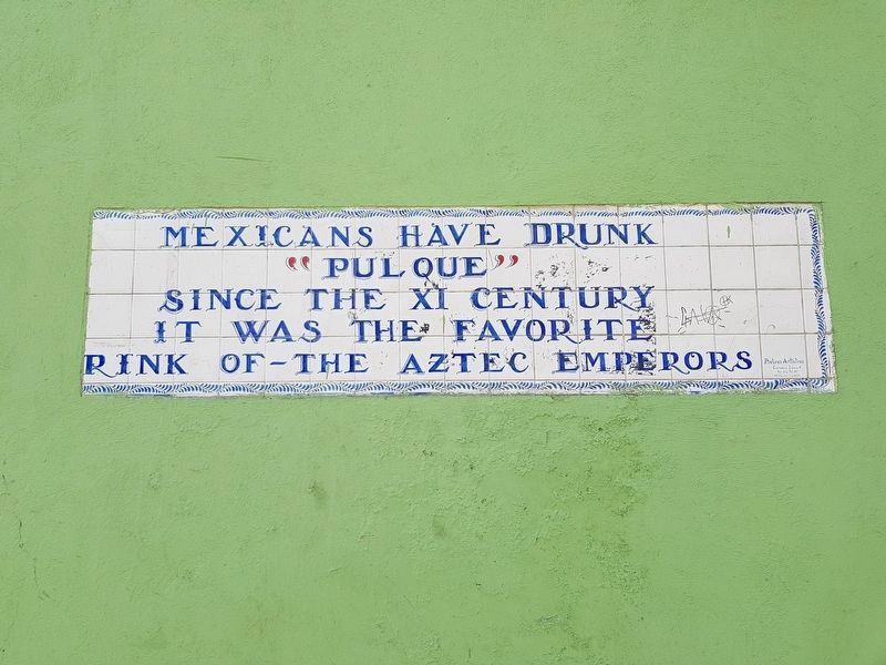 A nearby sign about pulque image. Click for full size.