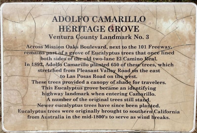 Adolfo Camarillo Heritage Grove Marker image. Click for full size.