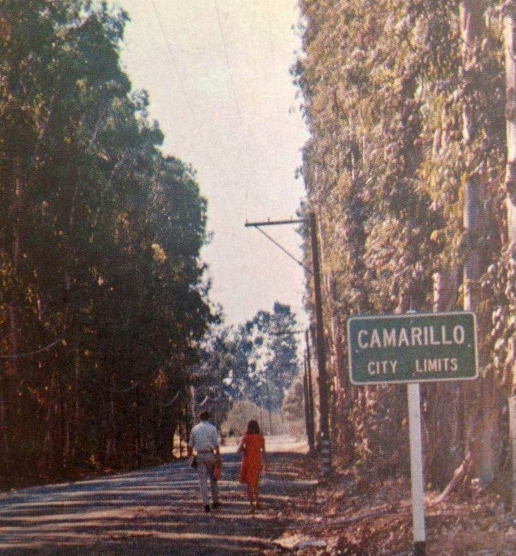 The old highway. Click for full size. The old highway image. Click for full size.