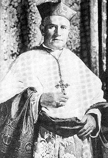 His Eminence Patrick Joseph Cardinal Hayes, Archbishop of New York 1919-1938 image. Click for full size.