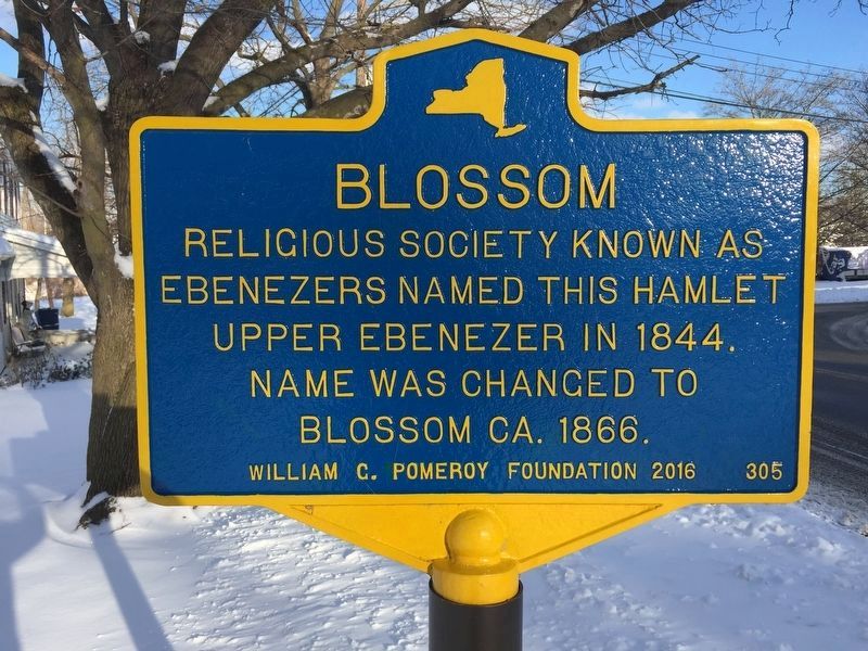 Blossom Marker image. Click for full size.